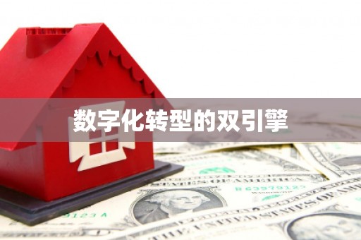 温泉数字化转型的双引擎