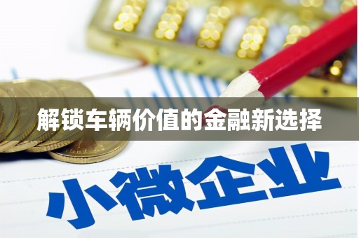 温泉解锁车辆价值的金融新选择