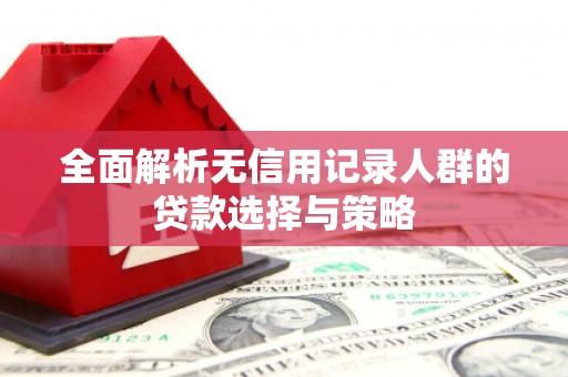 温泉全面解析无信用记录人群的贷款选择与策略