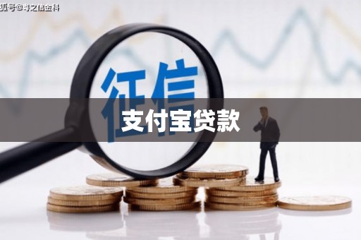 温泉支付宝贷款