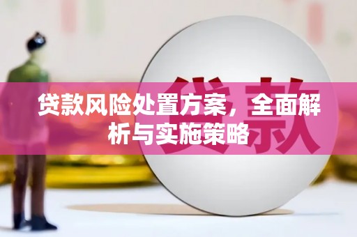 温泉贷款风险处置方案，全面解析与实施策略