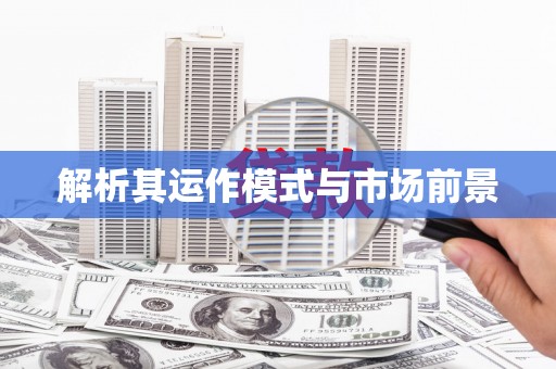 温泉解析其运作模式与市场前景