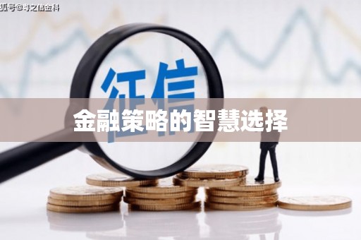 温泉金融策略的智慧选择