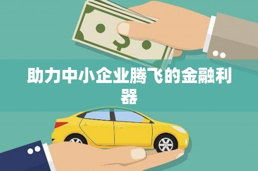 温泉助力中小企业腾飞的金融利器