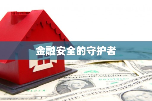 温泉金融安全的守护者