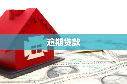 温泉逾期贷款