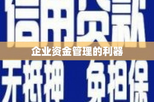 温泉企业资金管理的利器