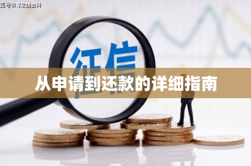 温泉从申请到还款的详细指南