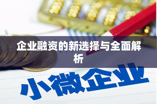 温泉企业融资的新选择与全面解析