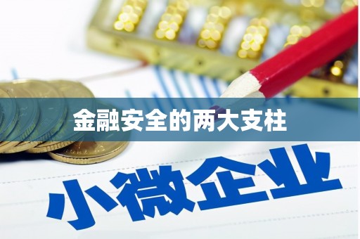 温泉金融安全的两大支柱