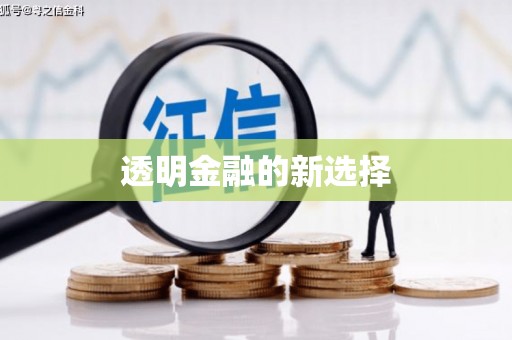 温泉透明金融的新选择
