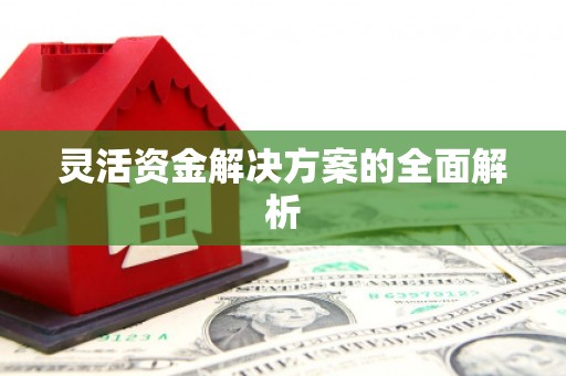 温泉灵活资金解决方案的全面解析