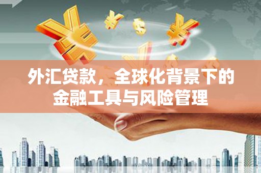 温泉外汇贷款，全球化背景下的金融工具与风险管理