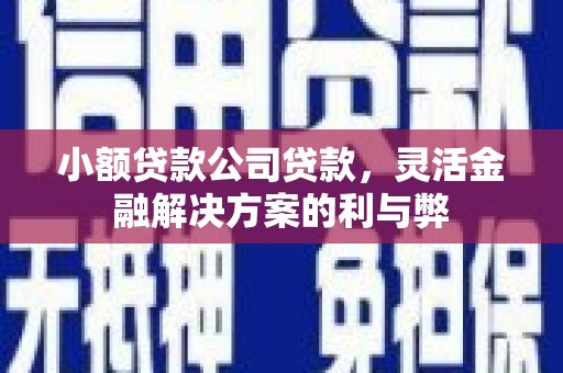 温泉小额贷款公司贷款，灵活金融解决方案的利与弊