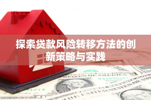 温泉探索贷款风险转移方法的创新策略与实践