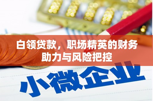 温泉白领贷款，职场精英的财务助力与风险把控